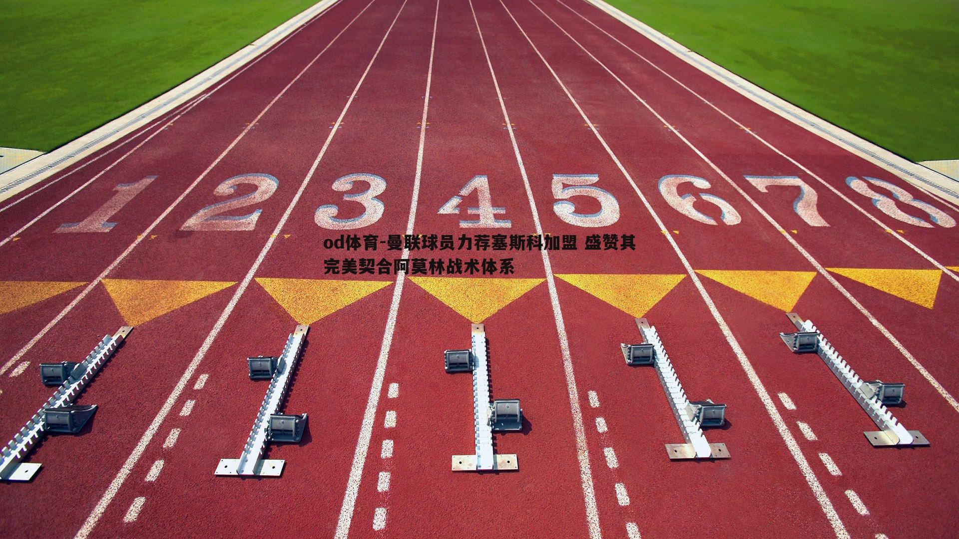 曼联球员力荐塞斯科加盟 盛赞其完美契合阿莫林战术体系